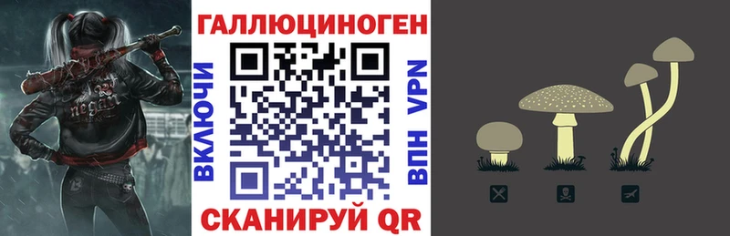 Псилоцибиновые грибы GOLDEN TEACHER  Приморско-Ахтарск 
